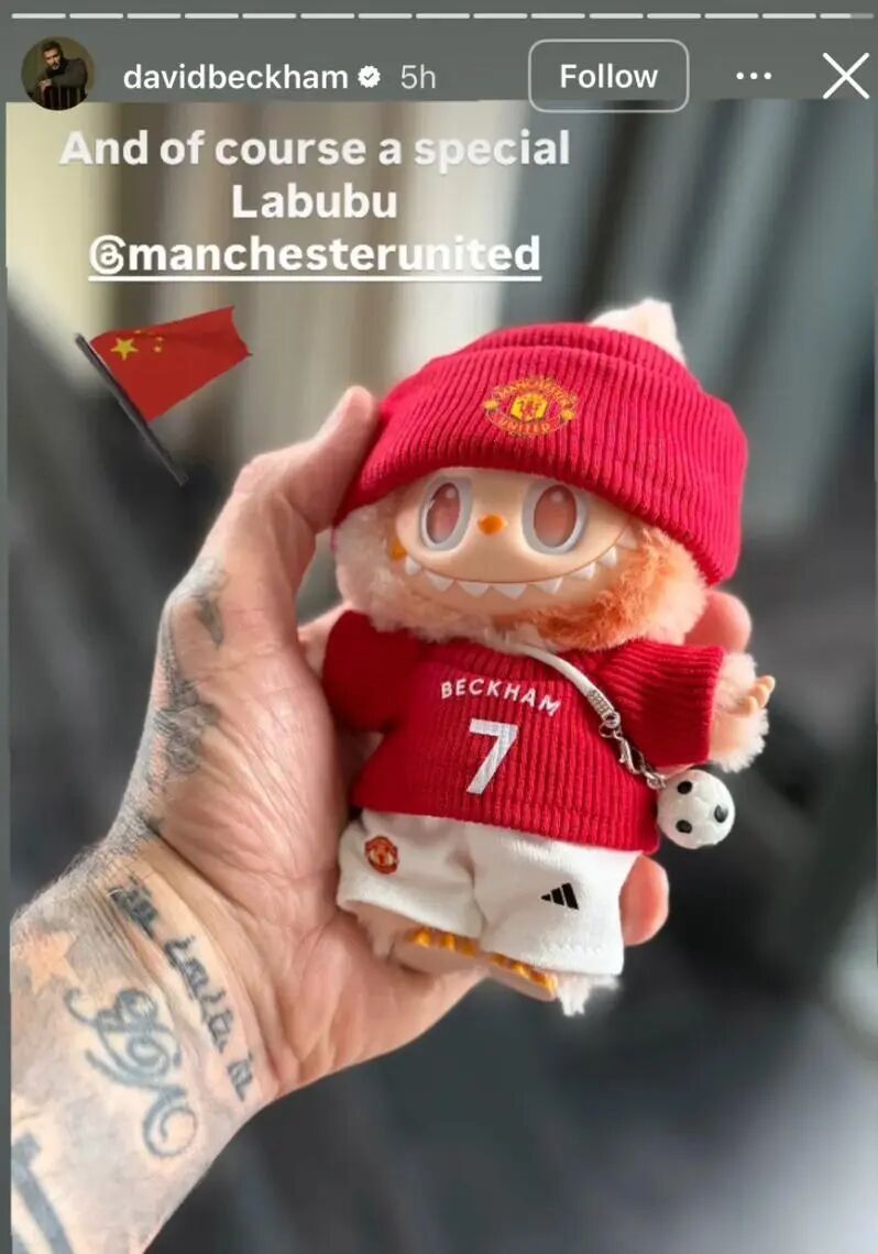 Mdp, 公司今年收 Mdp, 公司今年收